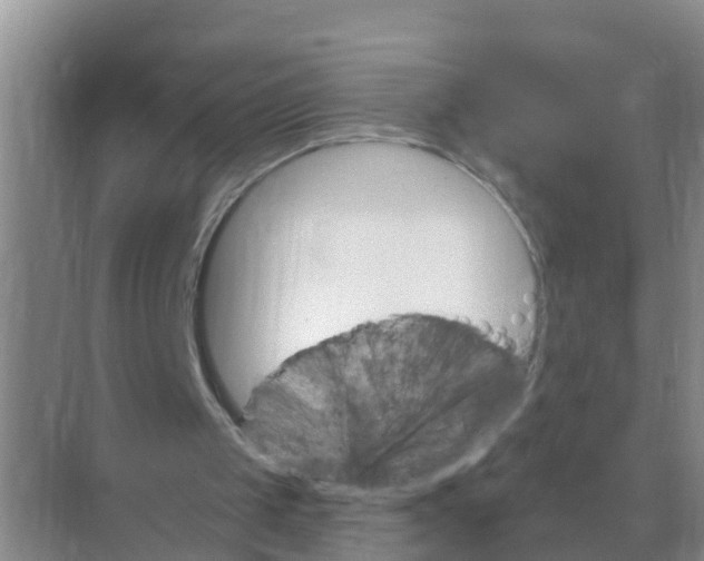 X0000074340049200609230128