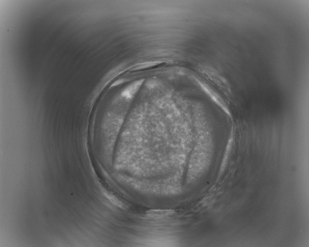 X0000074340051200609230128