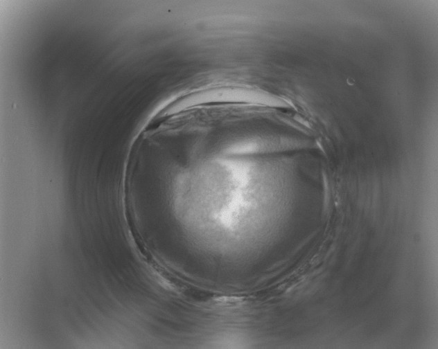 X0000074340052200609230128