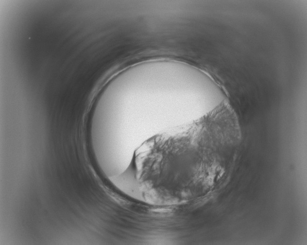 X0000074340053200609230128