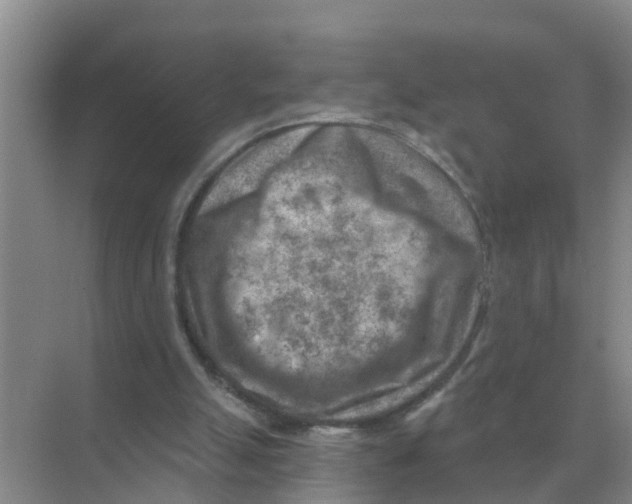 X0000074340055200609230128