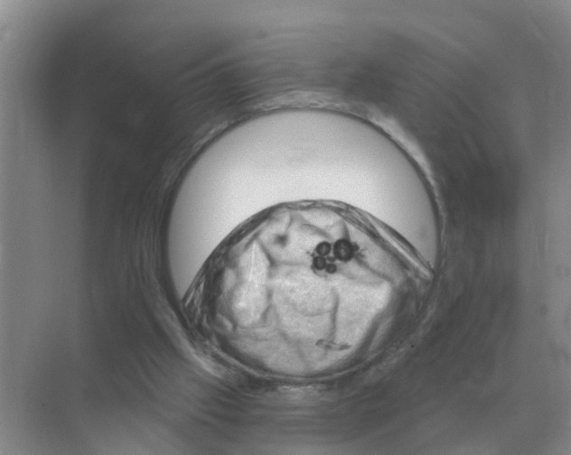 X0000074340057200609230129