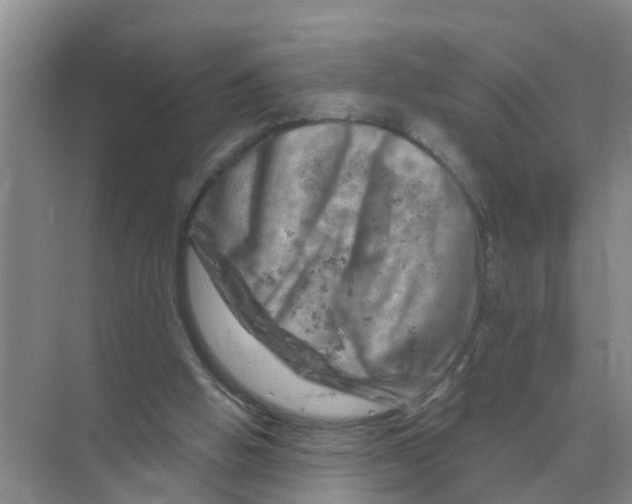 X0000074340058200609230129