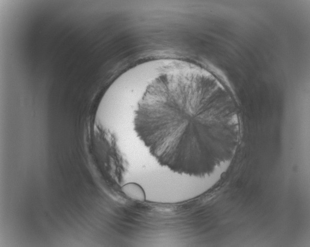 X0000074340061200609230129