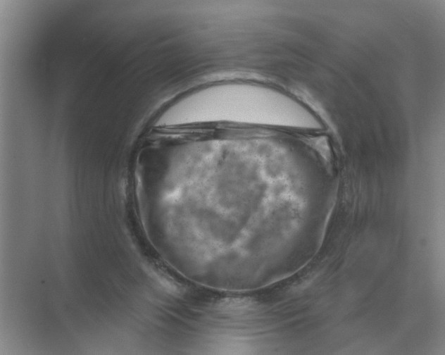 X0000074340063200609230129