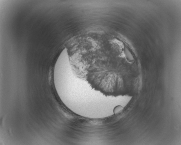 X0000074340065200609230129