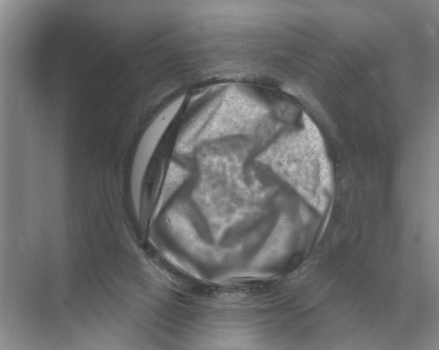 X0000074340066200609230129