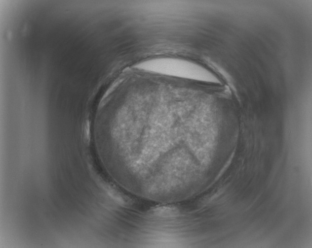 X0000074340067200609230129