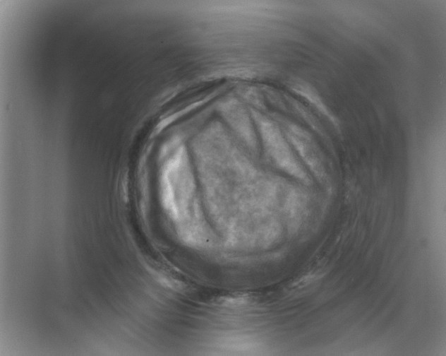 X0000074340068200609230129