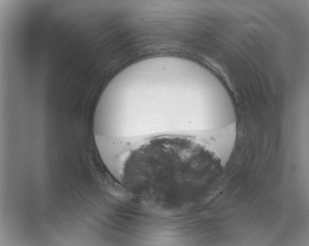 X0000074340069200609230129