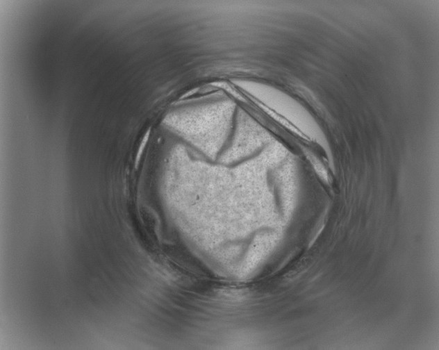 X0000074340071200609230129