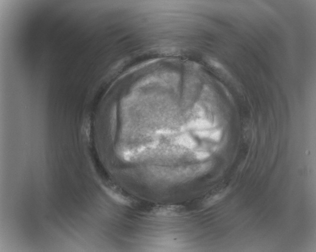 X0000074340072200609230129