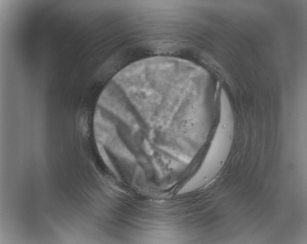 X0000074340074200609230129