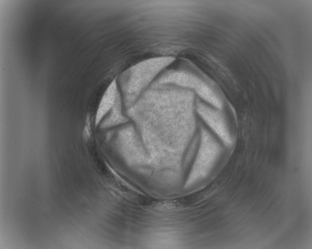 X0000074340075200609230129