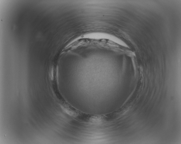 X0000074340076200609230129