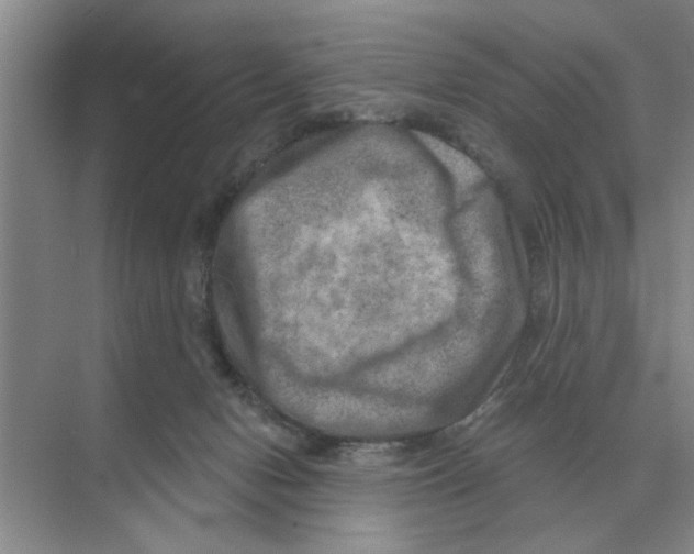 X0000074340078200609230129