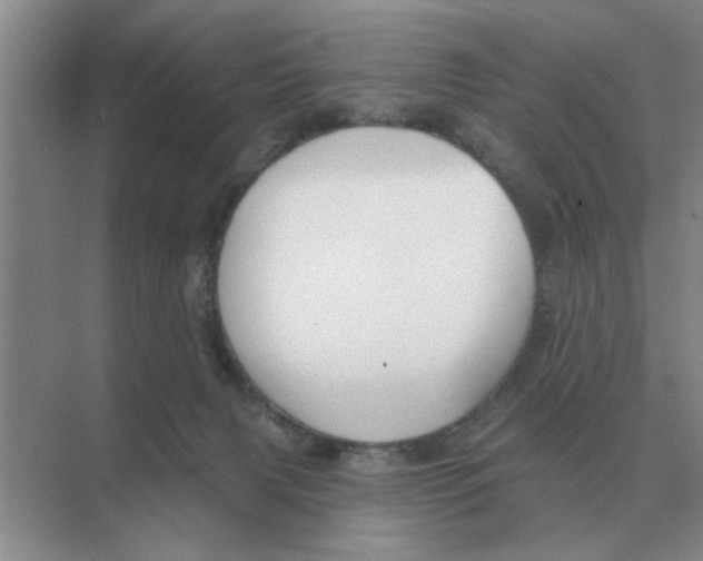 X0000074340079200609230129