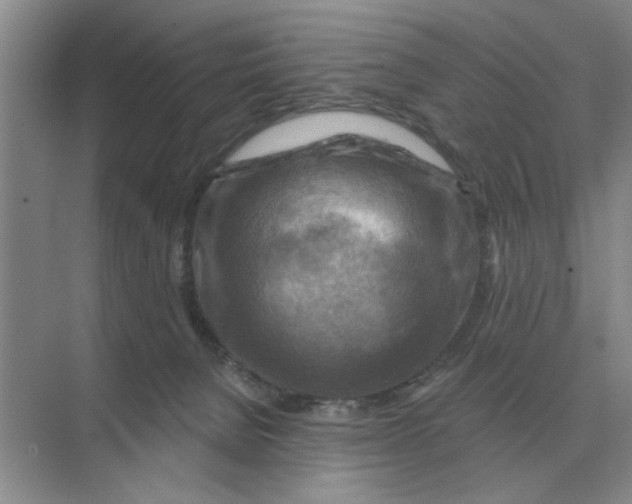 X0000074340080200609230129