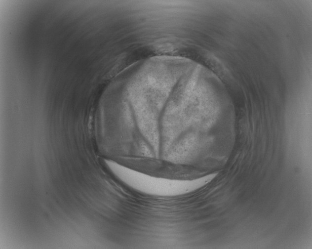 X0000074340081200609230129