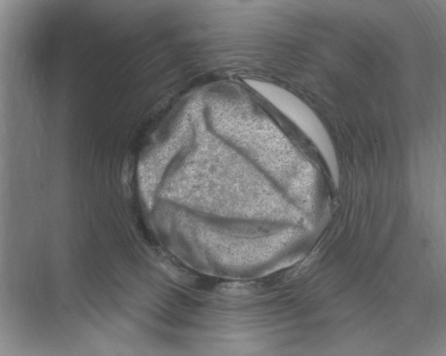 X0000074340082200609230129