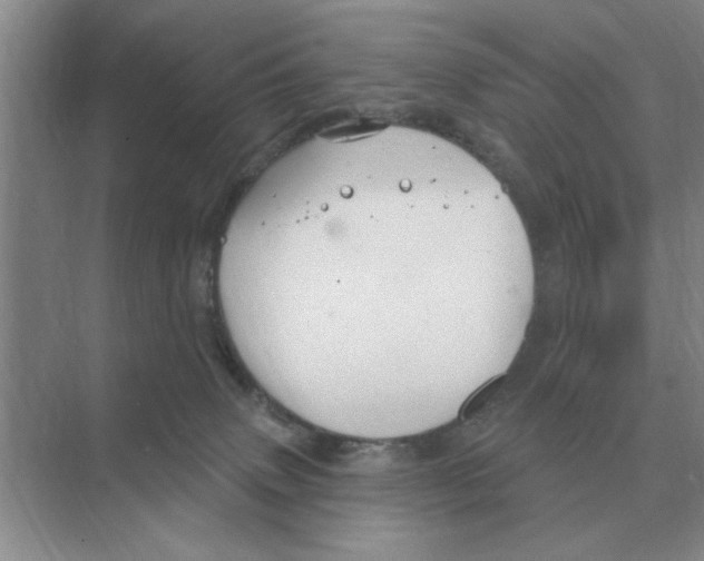 X0000074340083200609230129