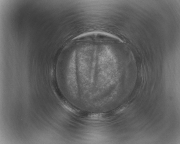 X0000074340084200609230129