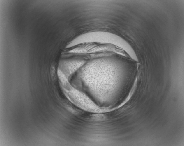 X0000074340087200609230129