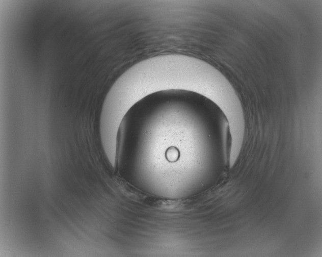 X0000074340088200609230129