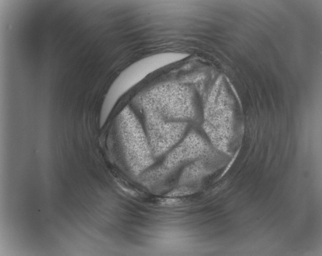 X0000074340091200609230129