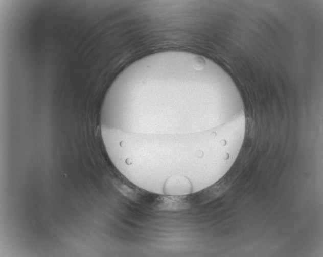 X0000074340093200609230129