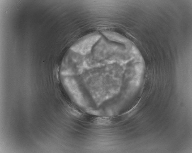 X0000074340094200609230129