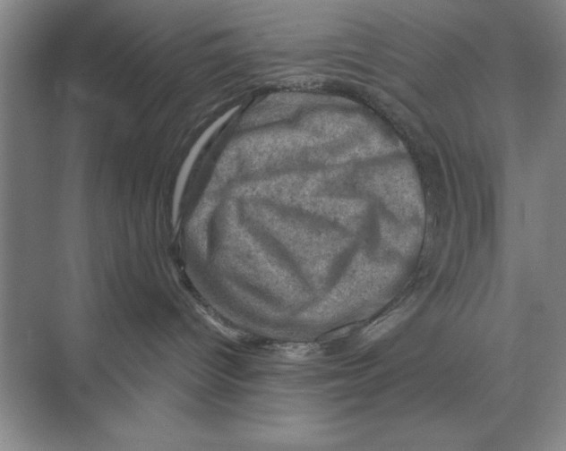 X0000074340096200609230129