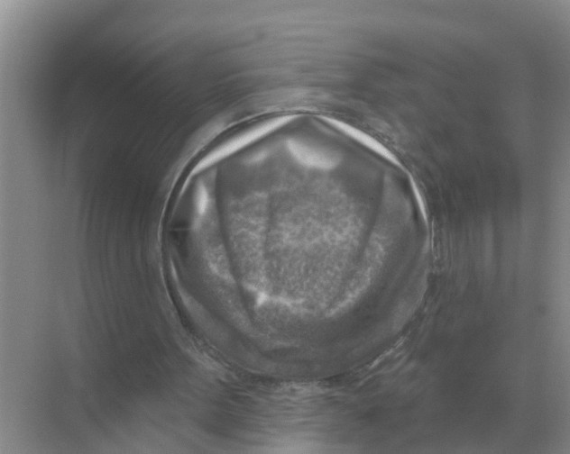 X0000074340099200609230128