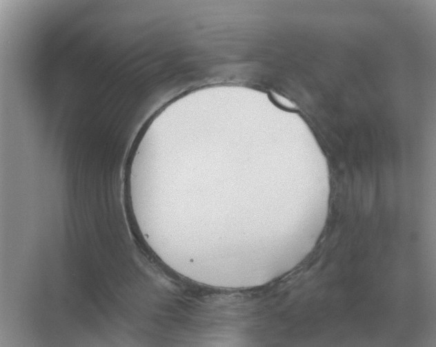 X0000074340100200609230128