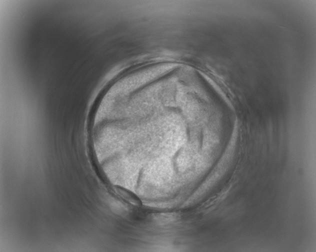 X0000074340102200609230128