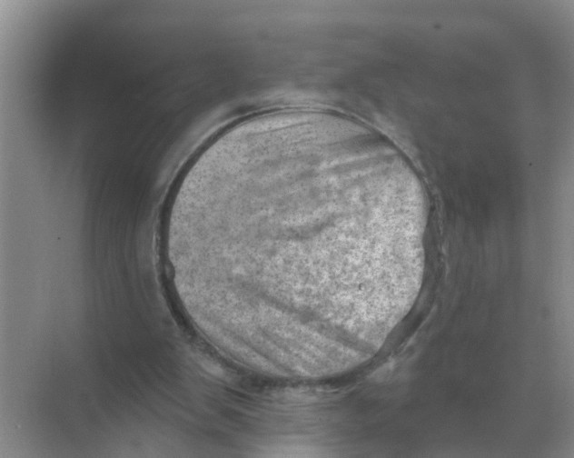 X0000074340103200609230128