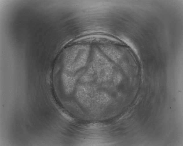 X0000074340105200609230128