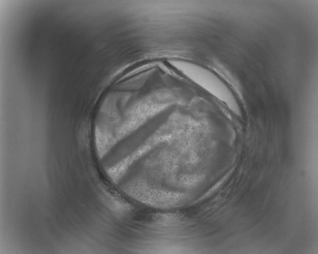 X0000074340107200609230128