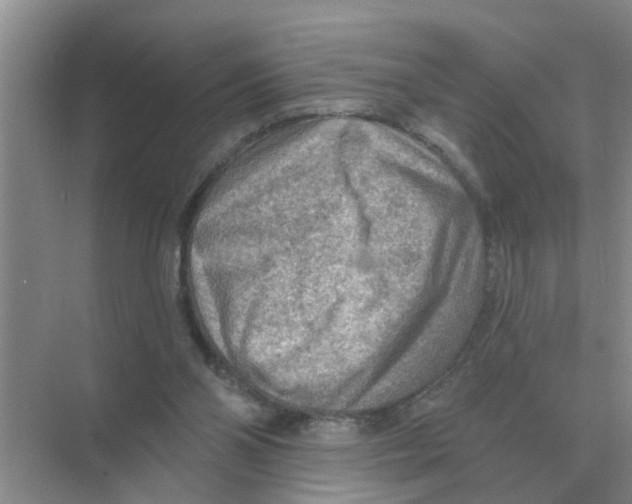 X0000074340110200609230128