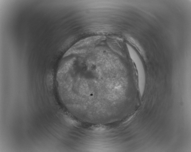 X0000074340113200609230128