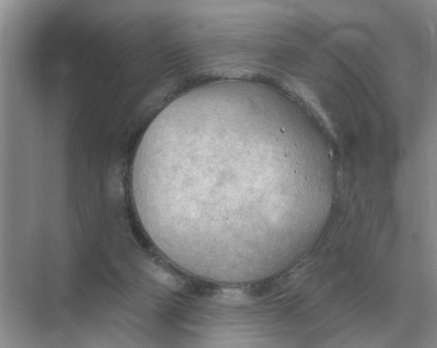 X0000074340114200609230128