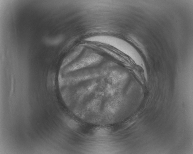 X0000074340115200609230128