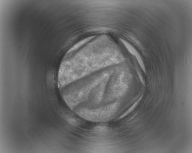 X0000074340119200609230128