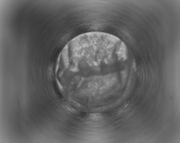 X0000074340127200609230128