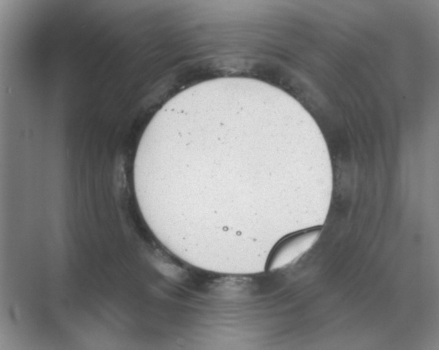 X0000074340128200609230128