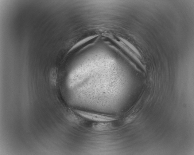 X0000074340129200609230128