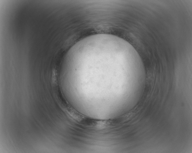 X0000074340130200609230128