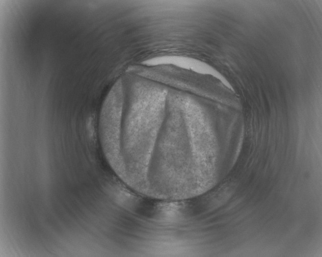 X0000074340131200609230128