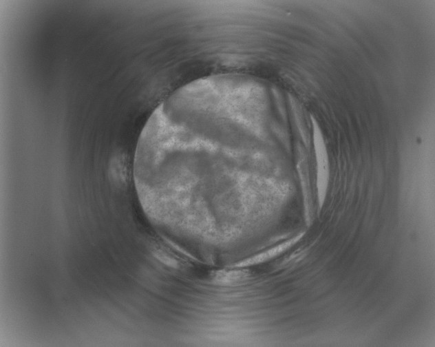 X0000074340135200609230128