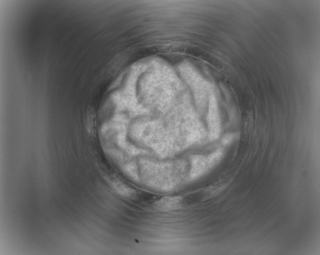 X0000074340138200609230128